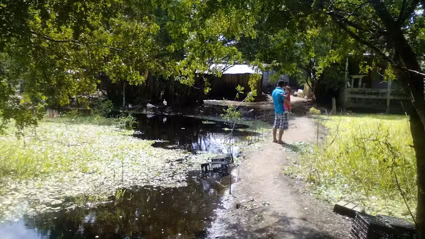 Iglesia Cristo Viene