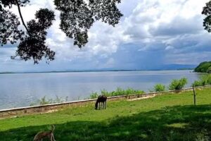 Iglesia de Dios ECAR “Sendero de Vida”