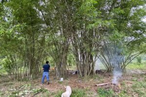 Iglesia de Dios la profesia