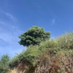 Iglesia de El Calvario