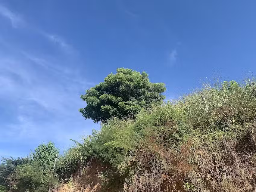 Iglesia de El Calvario