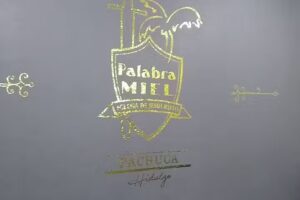 Iglesia De Jesucristo Palabra Miel Pachuca