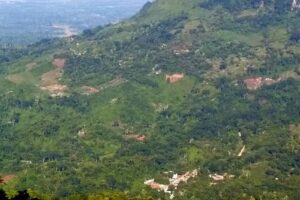 Iglesia De La Luz, Chilchotla