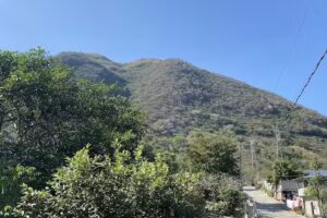 Iglesia de la pur&iacute;sima concepcion