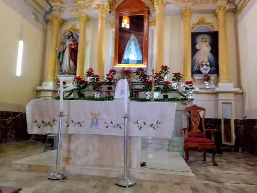 Iglesia De La Pur&iacute;sima Concepci&oacute;n