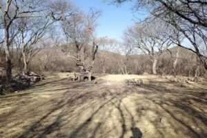 Iglesia de O. Arriba