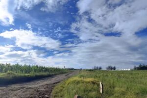 Iglesia de Palo Gordo