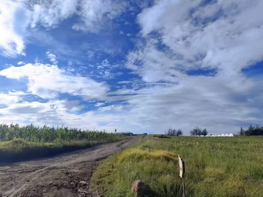 Iglesia de Palo Gordo