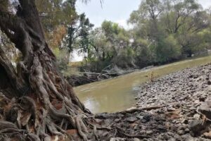 Iglesia De Rancho El Cuije