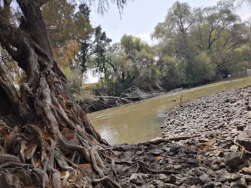 Iglesia De Rancho El Cuije