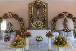 IGLESIA DE &ldquo;SAN JUANITA DE LOS LAGOS&rdquo;&hellip;