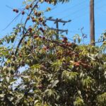 Iglesia de San Salvador