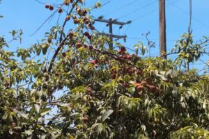 Iglesia de San Salvador