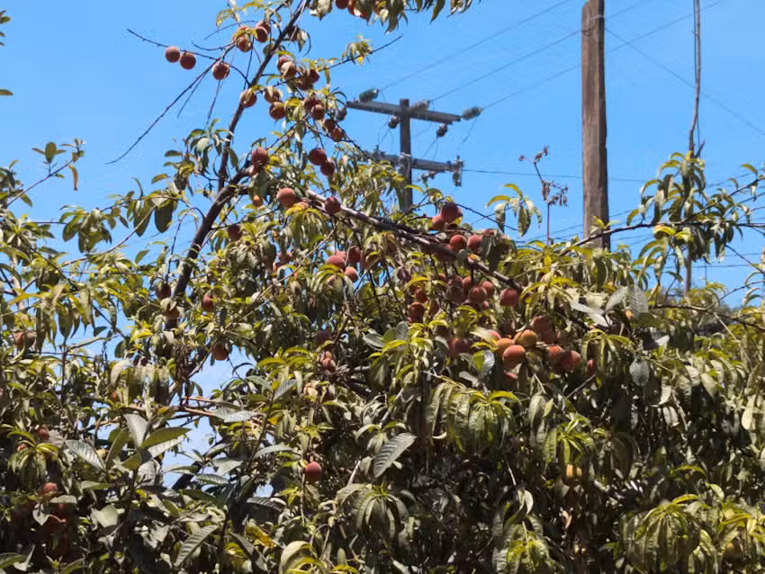 Iglesia de San Salvador