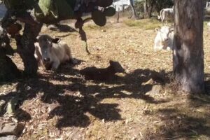 Iglesia de Santa Margarita