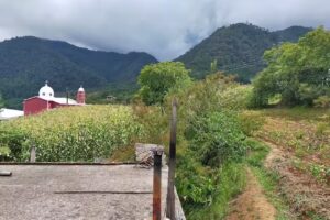 Iglesia del Centro de Zitlalcuautla