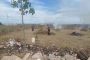 Iglesia del Dios Vivo, columna y apoyo de la Verdad, LA LUZ DEL MUNDO