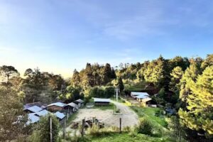 Iglesia del Divino Ni&ntilde;o Jes&uacute;s