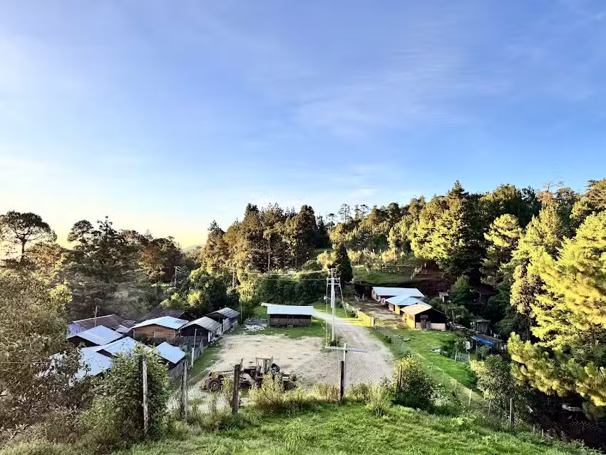 Iglesia del Divino Ni&ntilde;o Jes&uacute;s