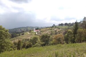 Iglesia Ejido De Tlalchichilpa