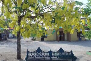 Iglesia Espinos de Judio