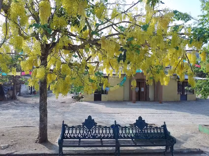 Iglesia Espinos de Judio