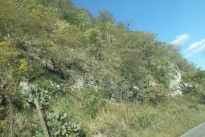 Iglesia Fortaleza #2