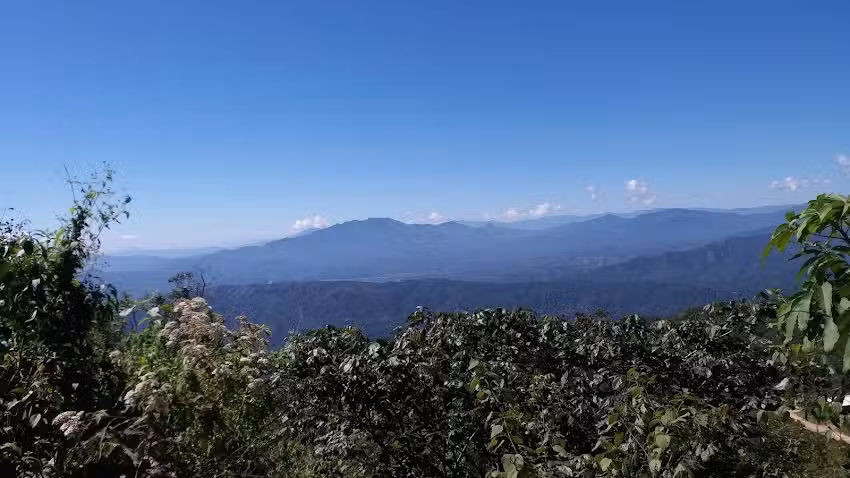 iglesia La Luz Del Mundo
