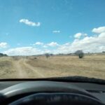 Iglesia la Pur&iacute;sima Concepci&oacute;n