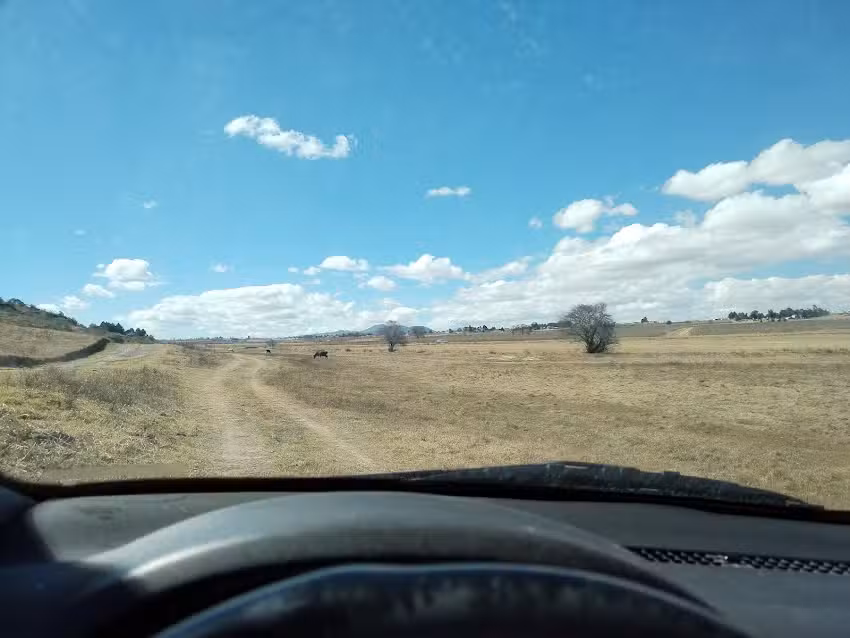 Iglesia la Pur&iacute;sima Concepci&oacute;n