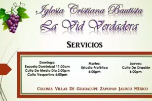 Iglesia La Vid Verdadera