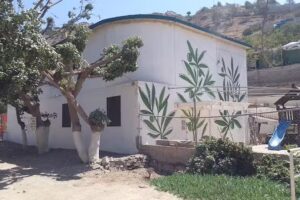 Iglesia Monte de los Olivos