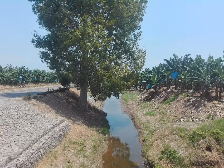 Iglesia Nacional Presbiteriana