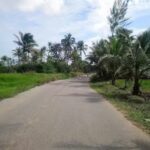 Iglesia Nacional Presbiteriana Esmirna