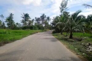 Iglesia Nacional Presbiteriana Esmirna