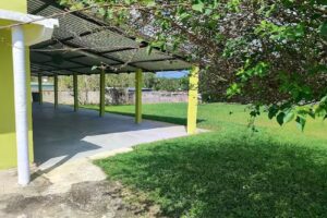 Iglesia Nacional Presbiteriana MONTE DE LOS OLIVOS