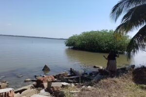 Iglesia Nacional Presbiteriana Troas