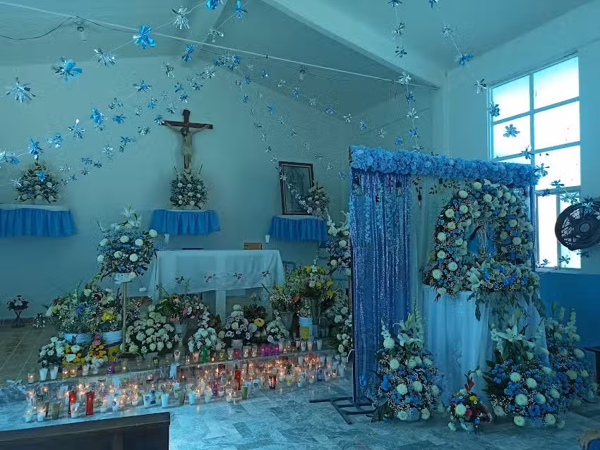 Iglesia Ntra. Se&ntilde;ora de San Juan de los Lagos