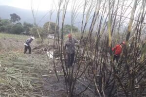 Iglesia Ntra. Sra. De La Concepcion