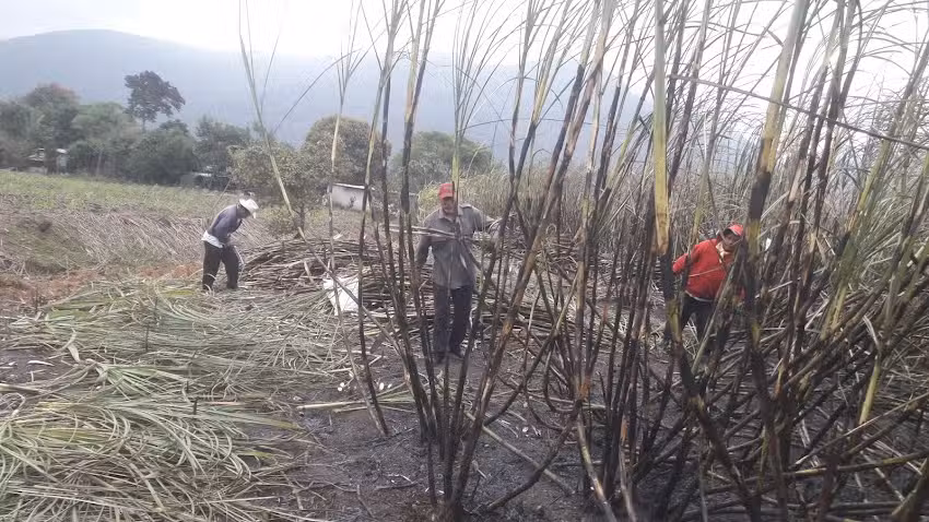 Iglesia Ntra. Sra. De La Concepcion