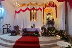 Iglesia Palmas De Abajo