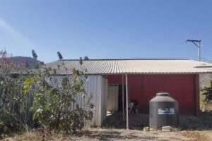 Iglesia Pan de Vida A. D.