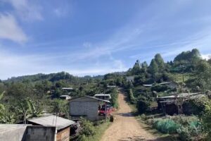 Iglesia presbiteriana