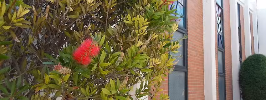 Iglesia Presbiteriana &ldquo;El Divino Salvador&rdquo;