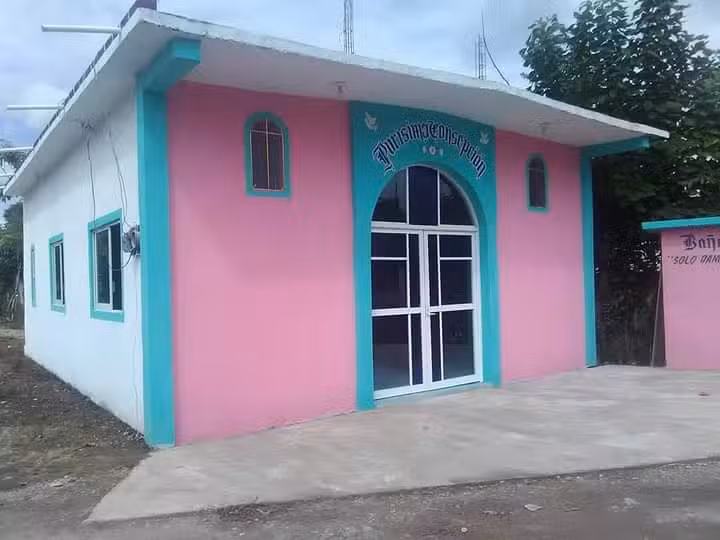 Iglesia pur&iacute;sima concepci&oacute;n