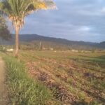 Iglesia Rancho Nuevo