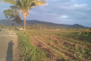 Iglesia Rancho Nuevo