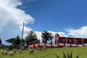 Iglesia Sagrado Coraz&oacute;n de Jes&uacute;s