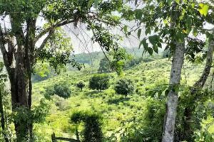 Iglesia sagrado coraz&oacute;n de Jes&uacute;s