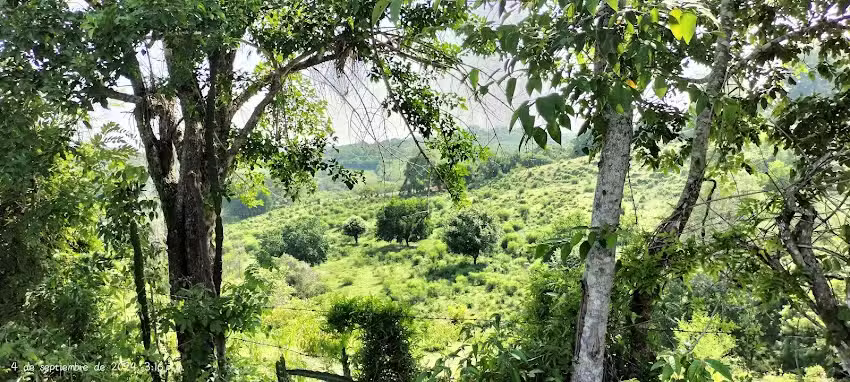 Iglesia sagrado coraz&oacute;n de Jes&uacute;s
